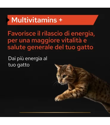 Proplan supplements multivitamins + gatto 60 gr