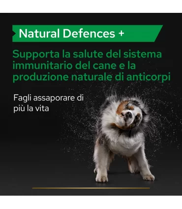 Proplan supplements natural defences + cane 45 tavolette