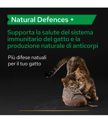 Proplan supplements natural defences + gatto 60 gr