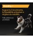 Proplan supplements mobility + cane 120 gr