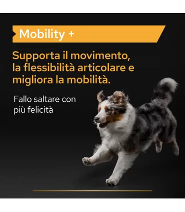 Proplan supplements mobility + cane 120 gr