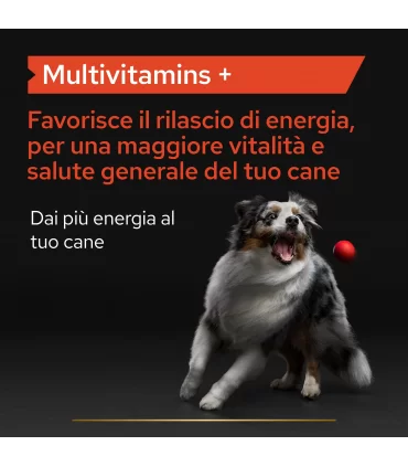 Proplan supplements multivitamins + cane 90 tavolette