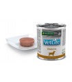 Farmina vet life cane diabetic 300 gr