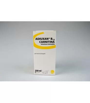 Adiuxan B12 carnitina 250 ml