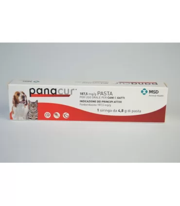 Panacur 1 siringa 187,5 mg/g cane gatto