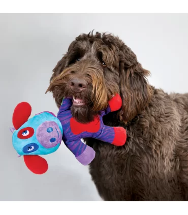 Kong switcheroos large