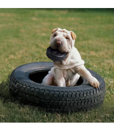 Kong extreme tyres medium large