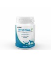 Petmod Intestinal F 100 gr