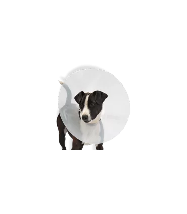 Proficollar collare elisabettiano 20 cm