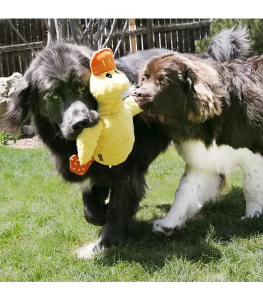 Kong comfort jumbo duck xl