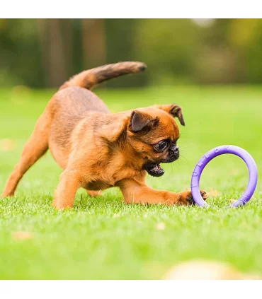 Ferplast puller micro dog fitness tool