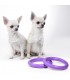 Ferplast puller micro dog fitness tool