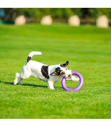 Ferplast puller midi dog fitness tool