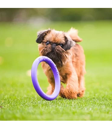 Ferplast puller mini dog fitness tool