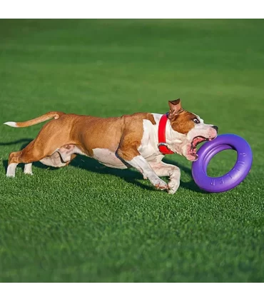 Ferplast puller maxi dog fitness tool