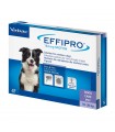 Effipro cane spot-on 134 mg 10-20 kg