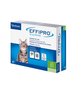 Effipro gatto spot-on 50 mg