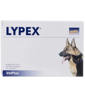 Vet bros lypex 60 capsule
