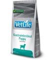 Farmina vet life cane gastrointestinal puppy 12 kg