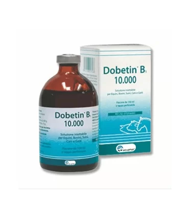 Dobetin b1 10000 u.i. fl 100 ml