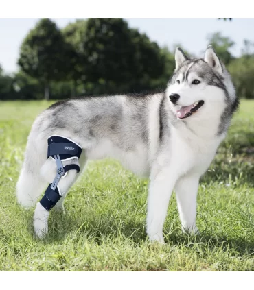 Balto Ligatek tutore per ginocchio sinistro medium