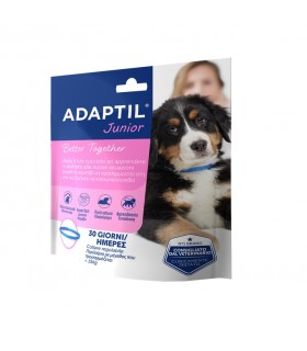 Adaptil junior collare