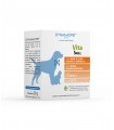 Dynamopet vita small 20 buste 1 gr