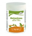 Cliffi maior mutastress 250 gr