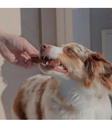 Ferplast goodbite natural osso manzo m 70 gr