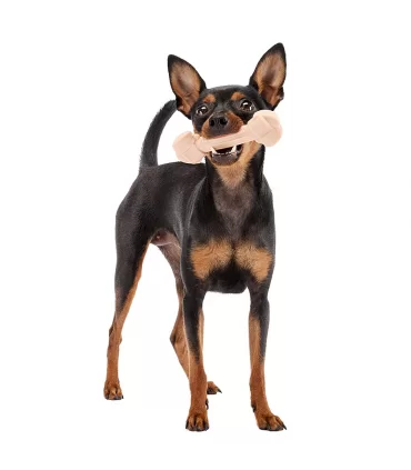 Ferplast goodbite natural osso prosciutto m 70 gr