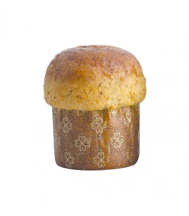 DoggyeBag canettone salmone 125 gr