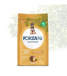 Forza 10 cane puppy medium maxi maintenance pollo con patate 12 kg