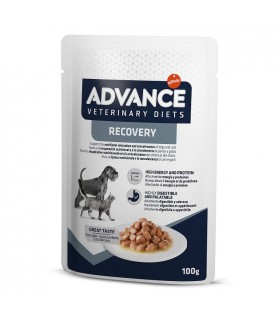 Advance Veterinary Diets cane gatto recovery bustina 100 gr