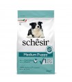 Schesir cane puppy Medium Adult ricco in pollo 3 kg