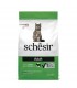 Schesir gatto adult Mantenimento ricco in agnello 400 gr