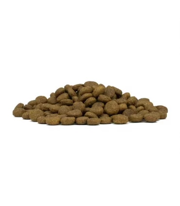 Forza 10 cane mono diet adult medium cavallo e piselli 12 kg