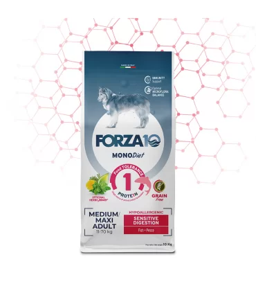 Forza 10 cane mono diet adult medium maxi sensitive digestion pesce 10 kg