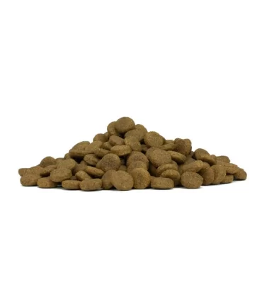 Forza 10 cane mono diet adult medium pesce 1,5 kg