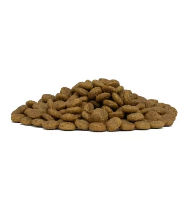 Forza 10 cane mono diet adult medium maiale con patate 1,5 kg