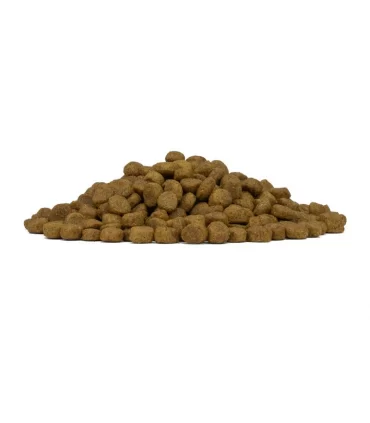 Forza 10 cane mono diet adult mini cervo con patate 1,5 kg