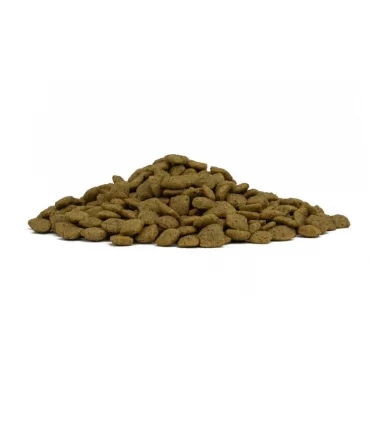 Forza 10 cane intestinal colon Fase-1 4 kg