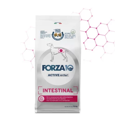 Forza 10 cane intestinal active 10 kg