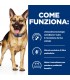 Hill's Prescription Diet cane Gastrointestinal biome spezzatino pollo verdure 354 gr