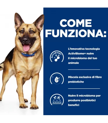 Hill's Prescription Diet cane Gastrointestinal biome spezzatino pollo verdure 354 gr