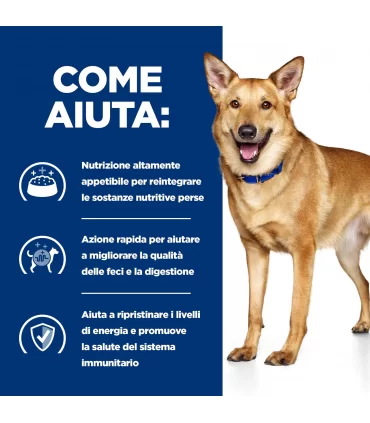 Hill's Prescription Diet Cane digestive care i/d tacchino 360 gr