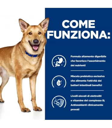 Hill's Prescription Diet Cane digestive care i/d tacchino 360 gr