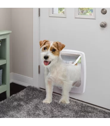 Ferplast swing 11 tunnel bianca portina