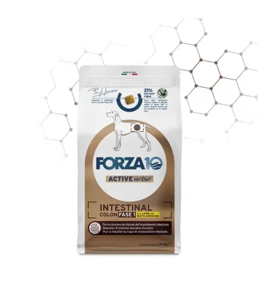 Forza 10 cane intestinal colon Fase 1 agnello e sorgo bianco 1,5 kg