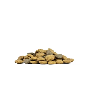 Forza 10 cane renal active vet 4 kg