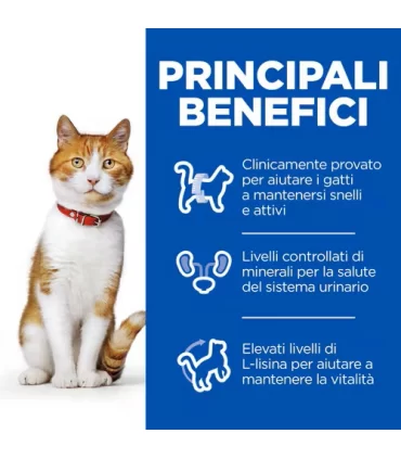 Hill's Science Plan gatto adult sterilised pollo 10 kg